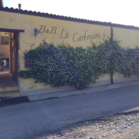 Bed and Breakfast La Carbonara 6 Bardolino Zewnętrze zdjęcie
