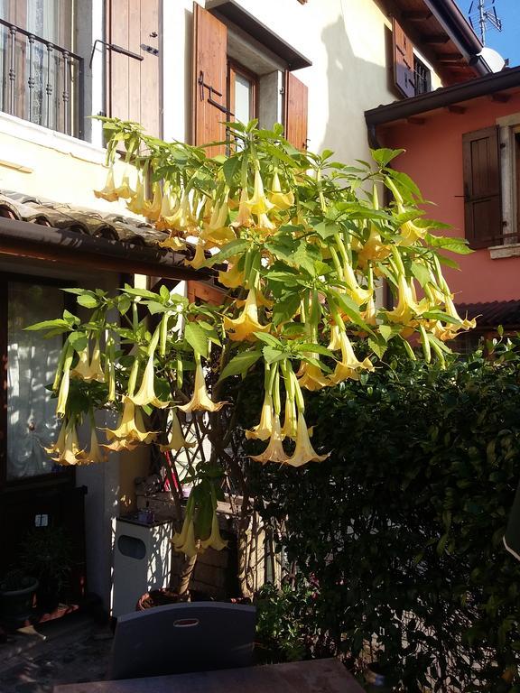 Bed and Breakfast La Carbonara 6 Bardolino Zewnętrze zdjęcie